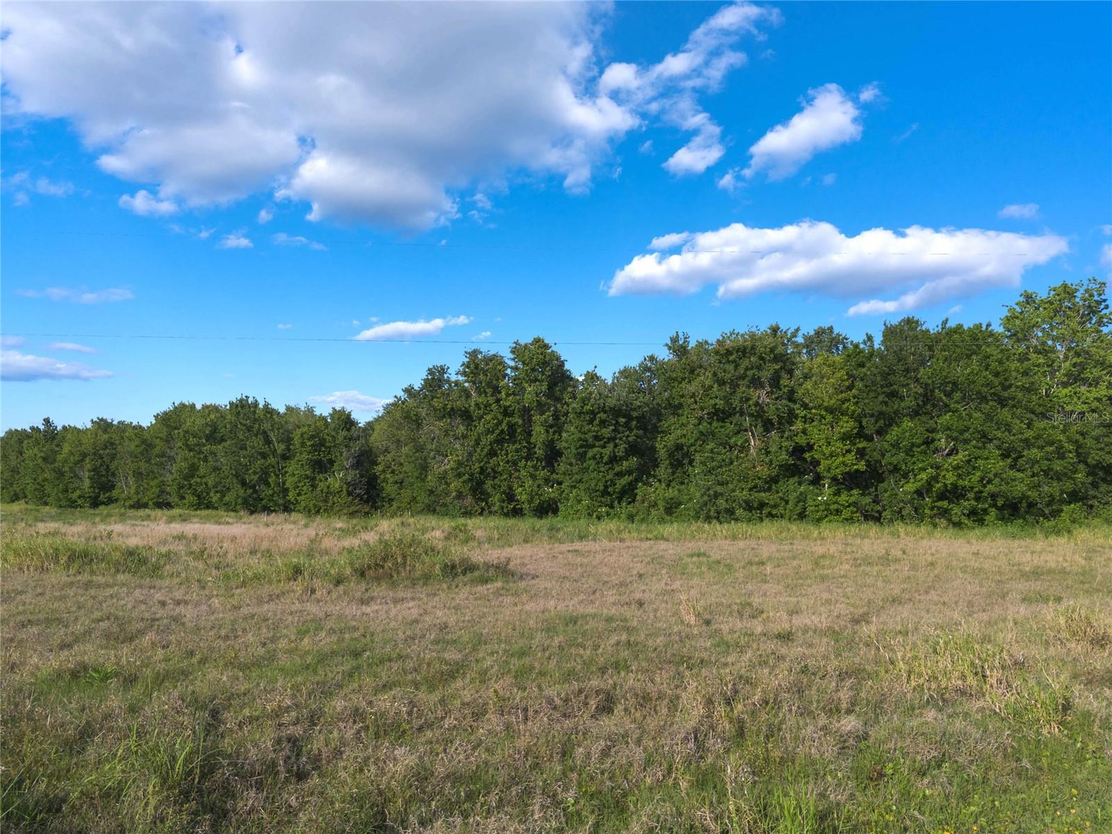 0000 FANNY BASS LN, ST CLOUD, FL, 34772