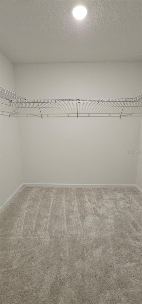 14031 LOCHEND WAY, WINTER GARDEN, FL, 34787