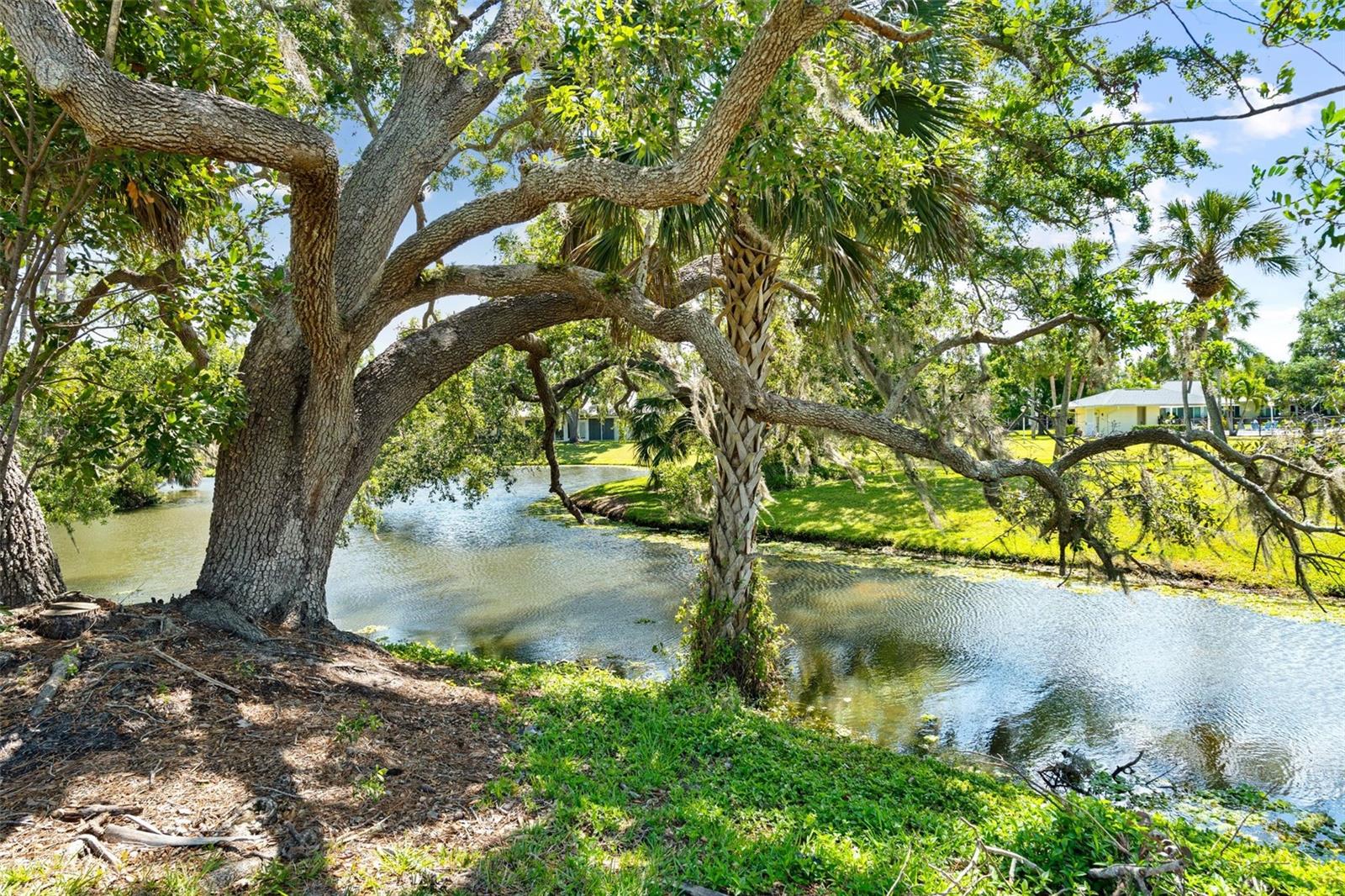 3921 CENTER GATE CIR #11, SARASOTA, FL, 34233