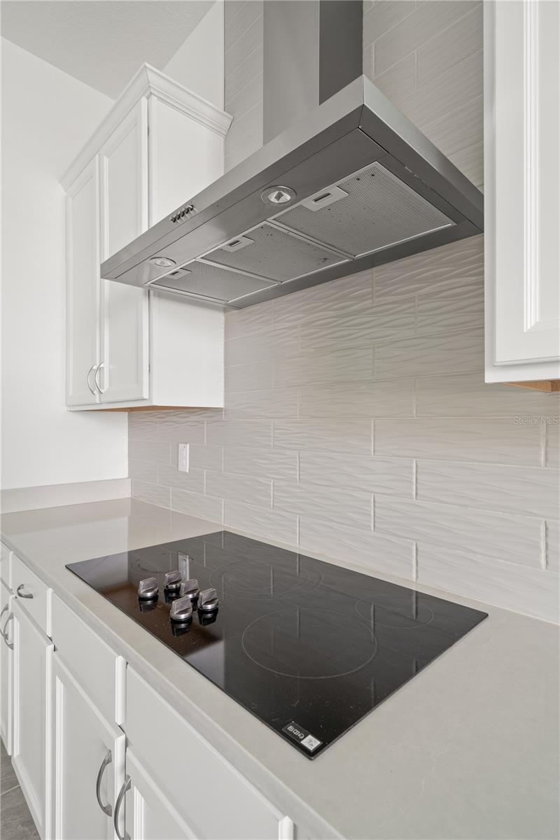 8834 DRUMMER PLANK DR, WESLEY CHAPEL, FL, 33545