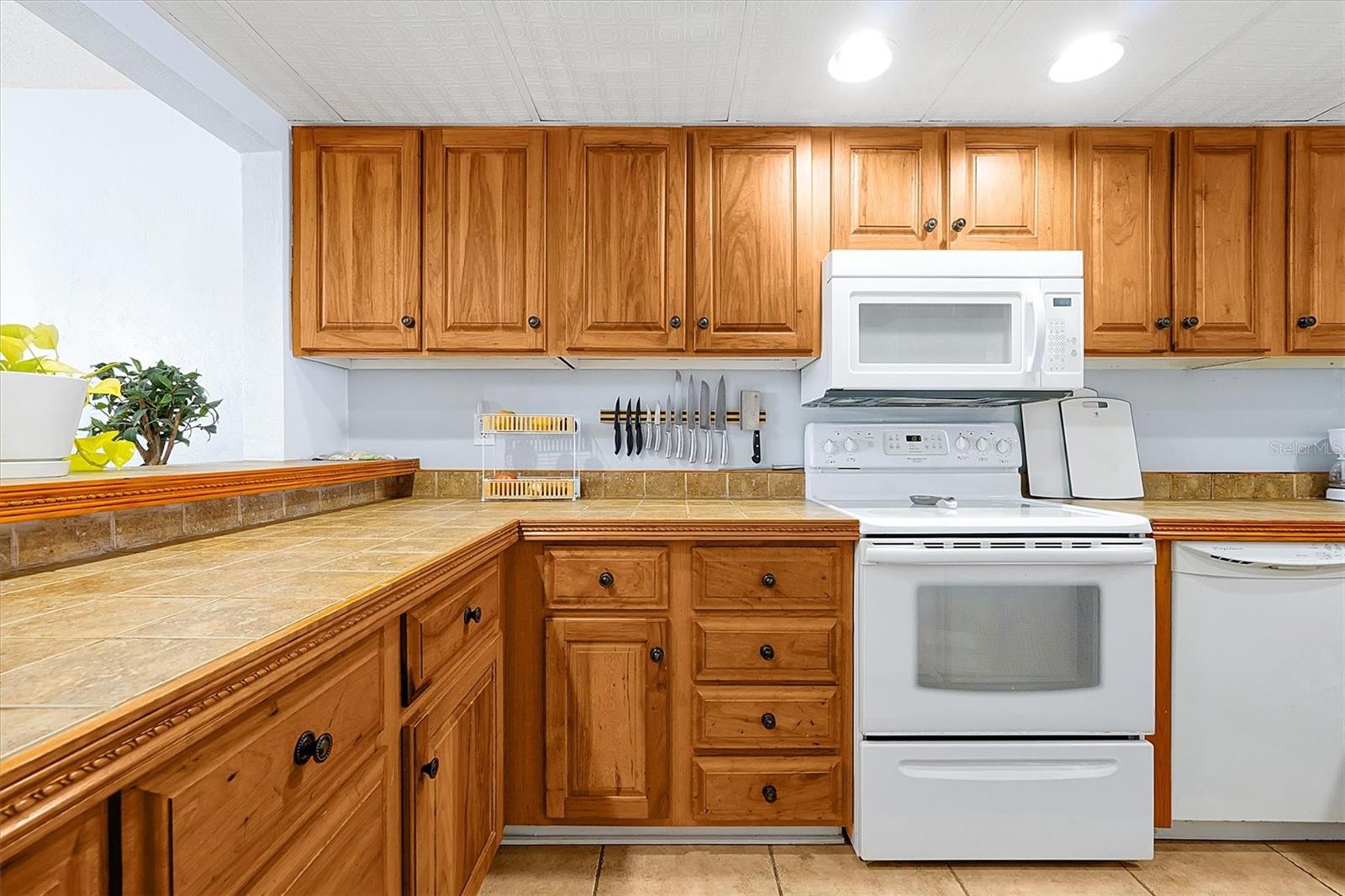 89 S ATLANTIC AVE #505, ORMOND BEACH, FL, 32176