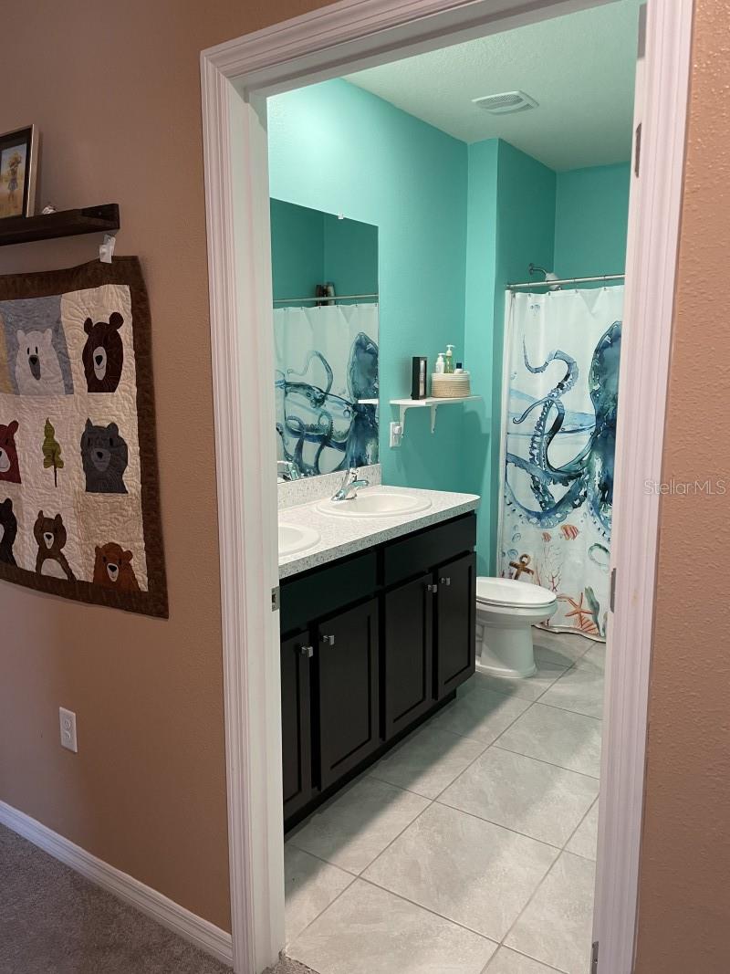 16919 TRITE BEND ST, WIMAUMA, FL, 33598