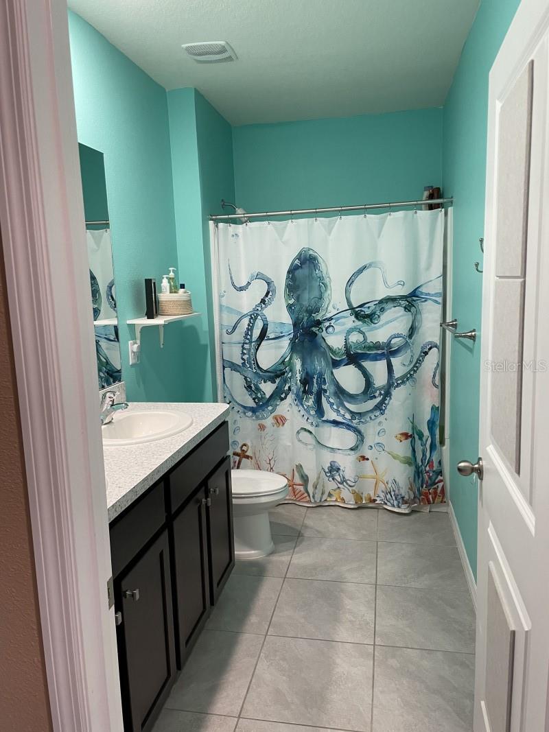 16919 TRITE BEND ST, WIMAUMA, FL, 33598