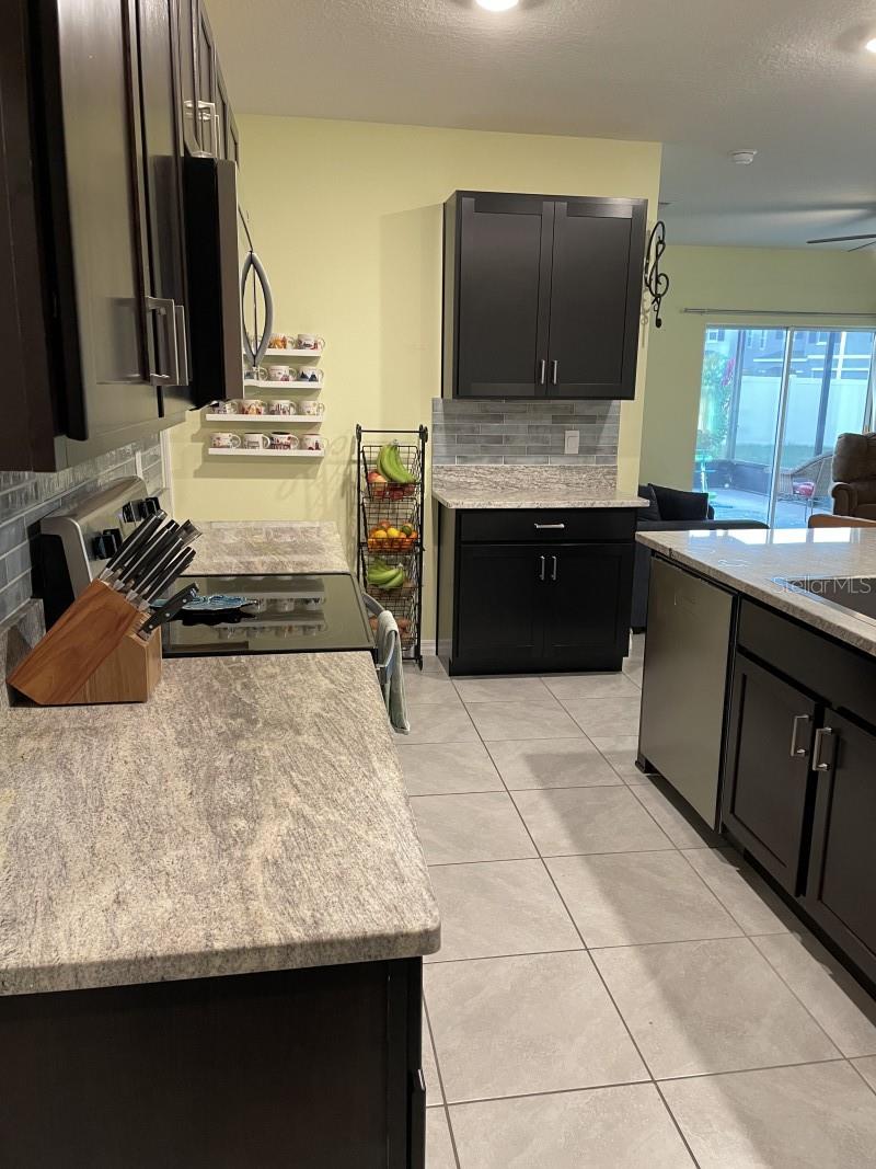 16919 TRITE BEND ST, WIMAUMA, FL, 33598