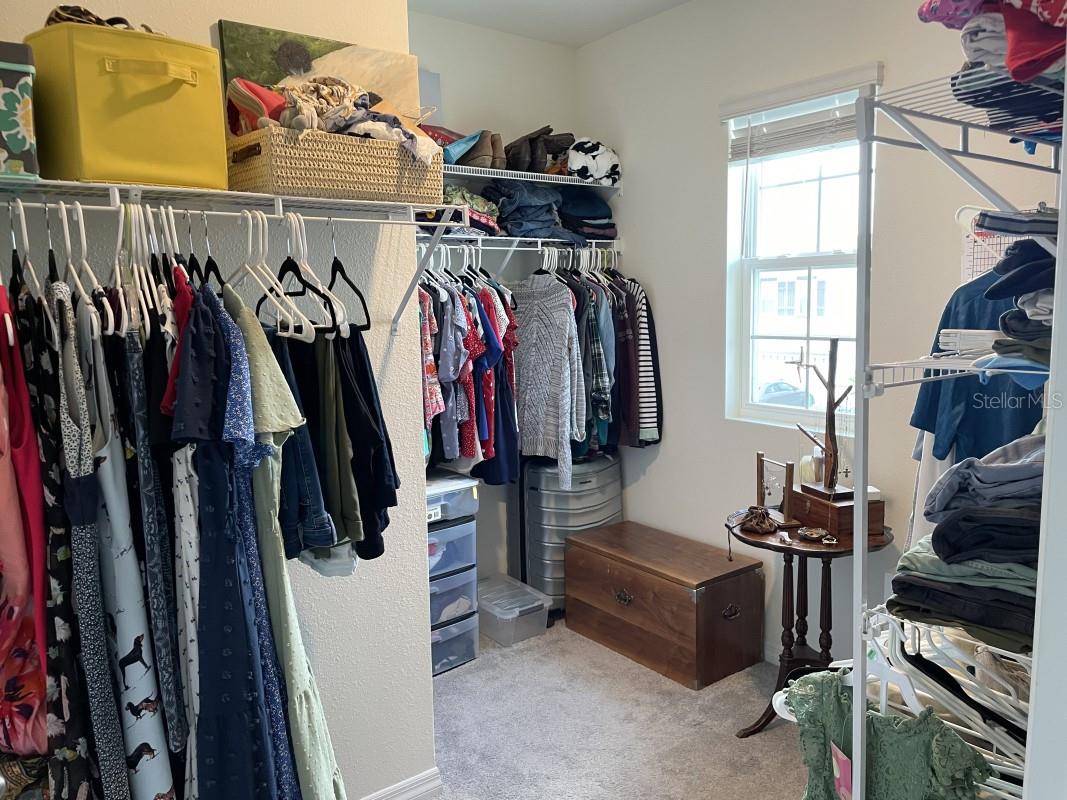 16919 TRITE BEND ST, WIMAUMA, FL, 33598