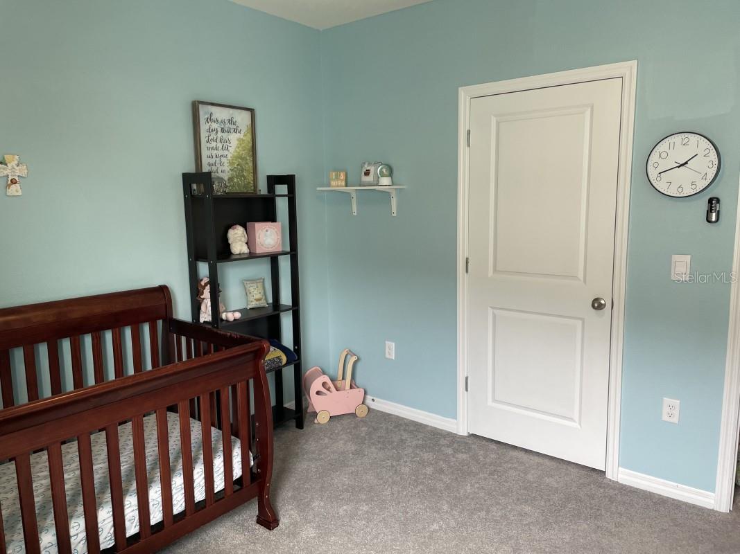 16919 TRITE BEND ST, WIMAUMA, FL, 33598