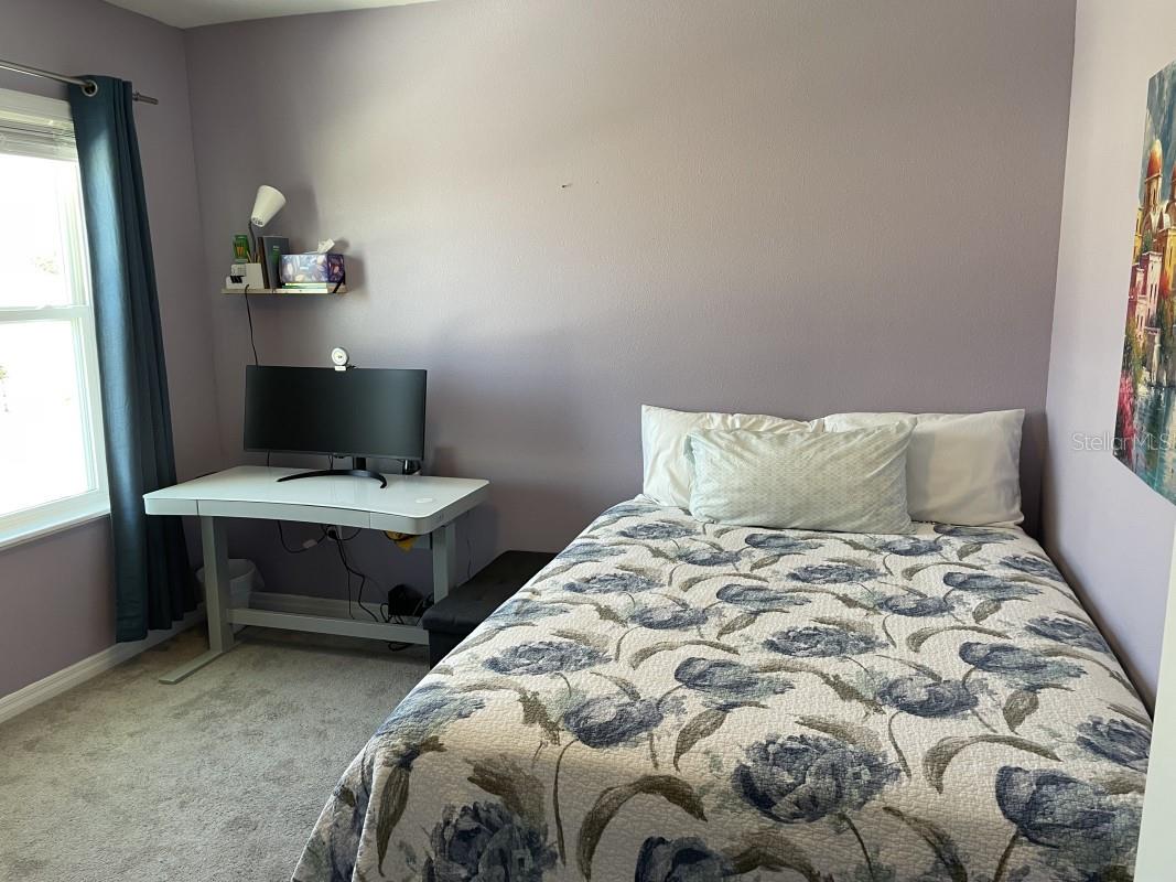 16919 TRITE BEND ST, WIMAUMA, FL, 33598