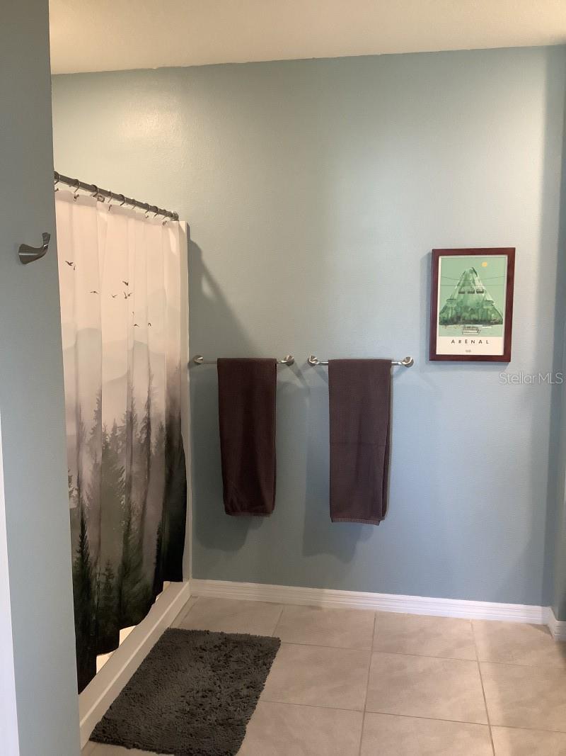 16919 TRITE BEND ST, WIMAUMA, FL, 33598