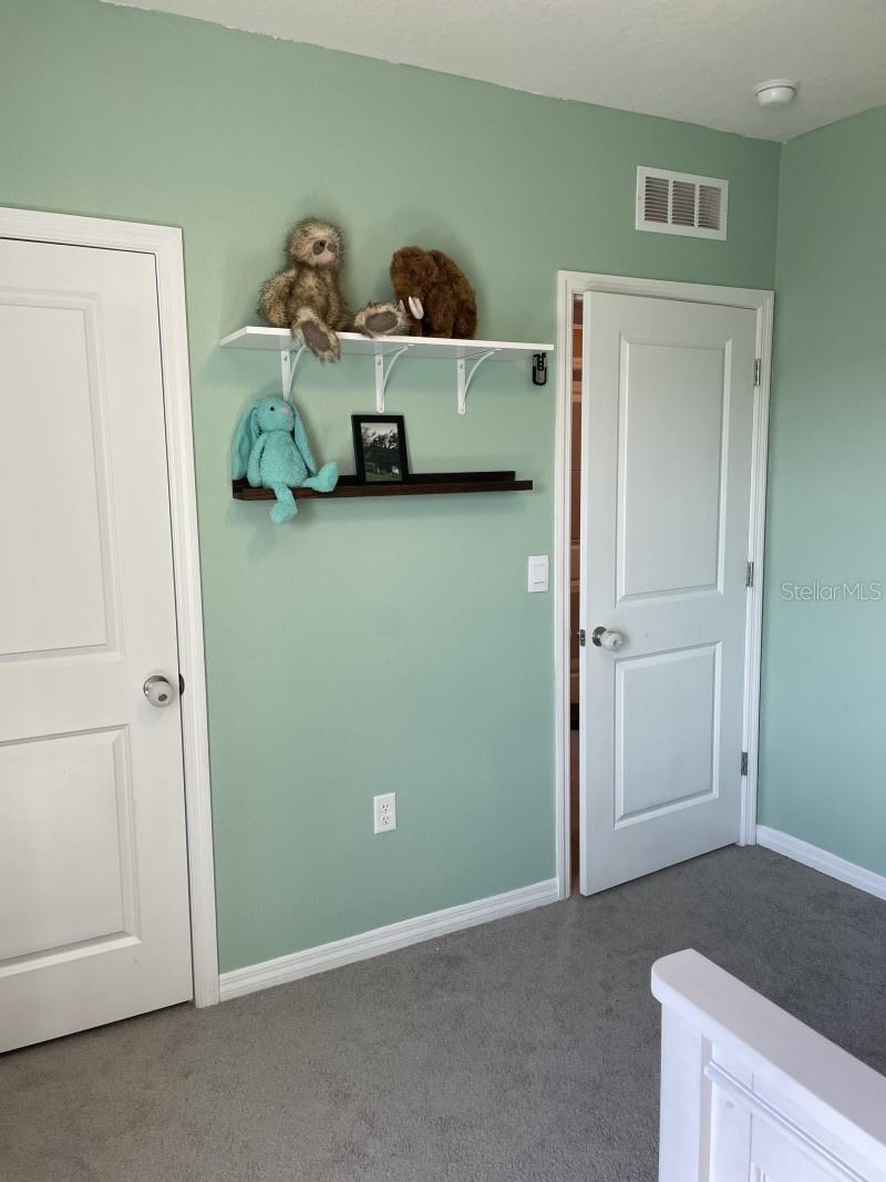 16919 TRITE BEND ST, WIMAUMA, FL, 33598