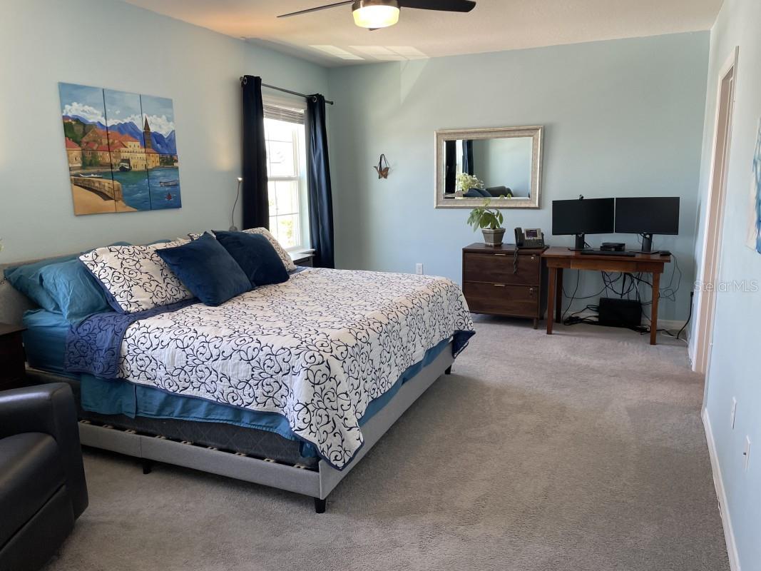 16919 TRITE BEND ST, WIMAUMA, FL, 33598