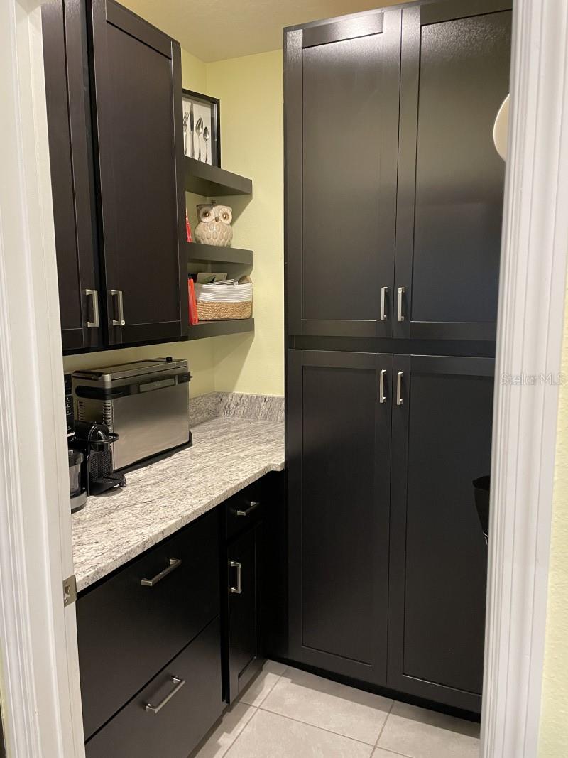 16919 TRITE BEND ST, WIMAUMA, FL, 33598