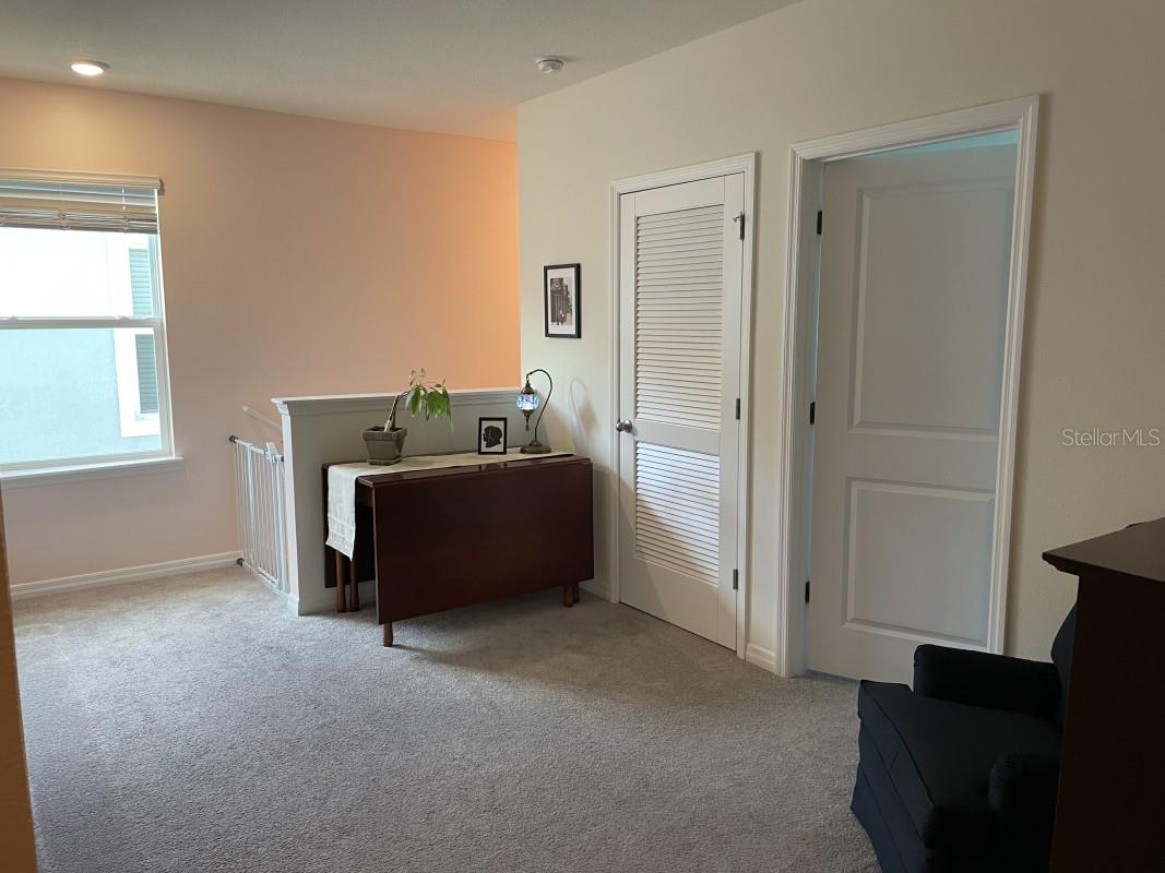 16919 TRITE BEND ST, WIMAUMA, FL, 33598