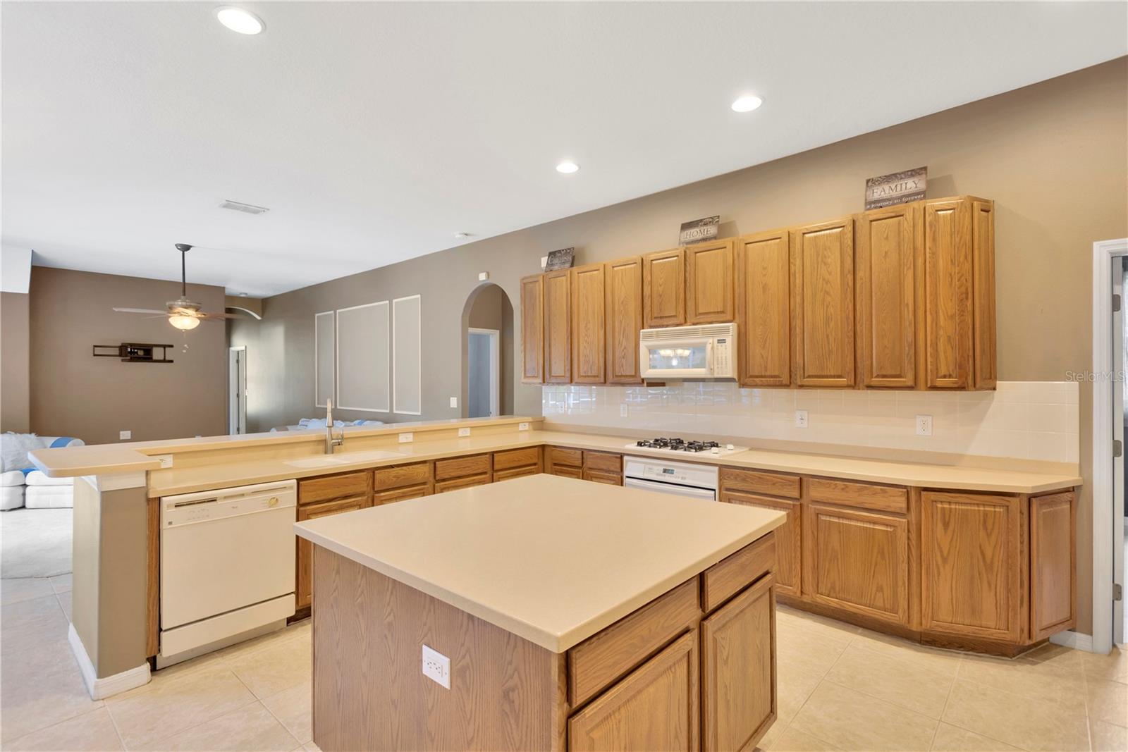 27054 FORDHAM DR, WESLEY CHAPEL, FL, 33543