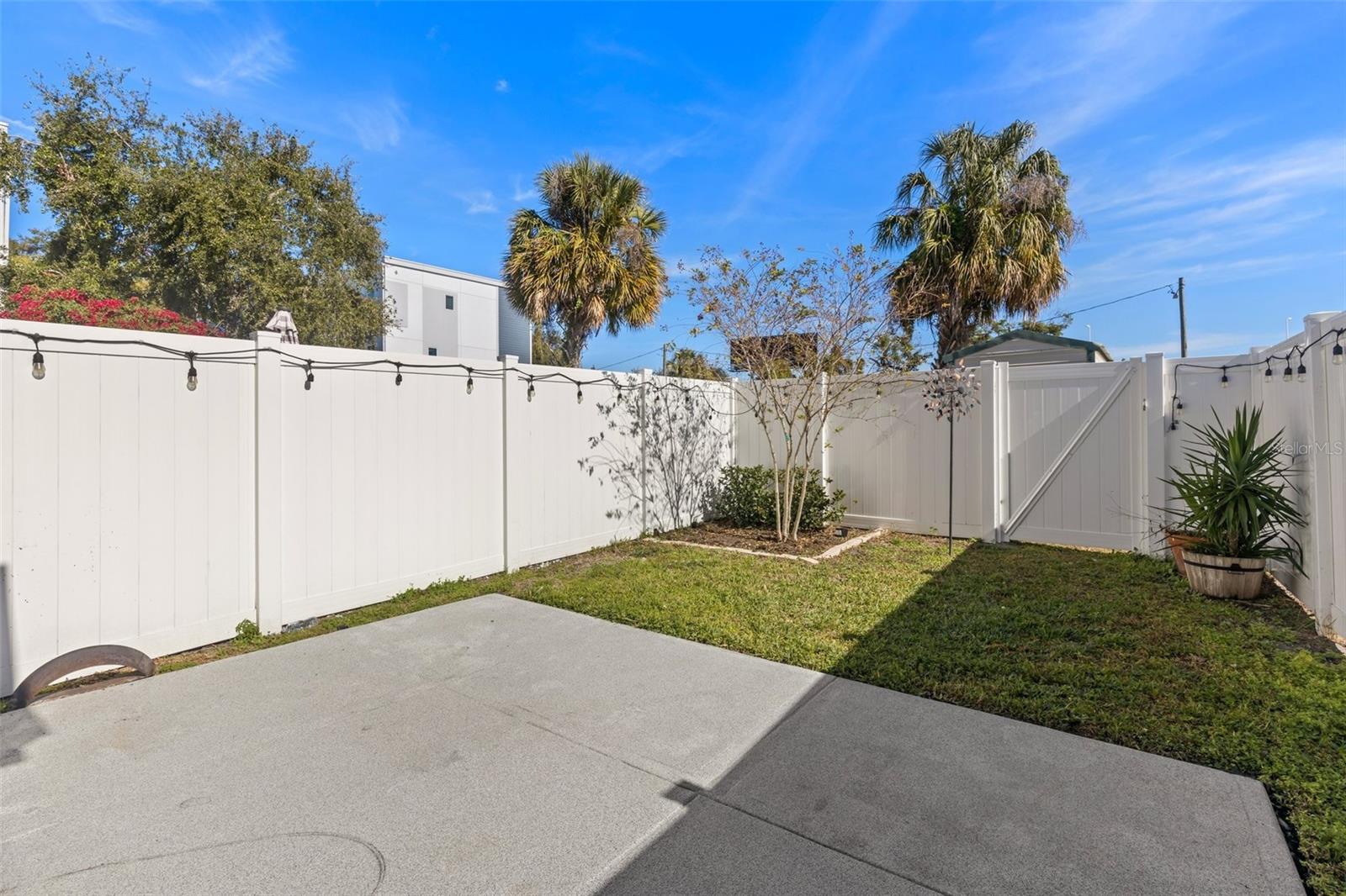 1501 N MORGAN ST #5, TAMPA, FL, 33602