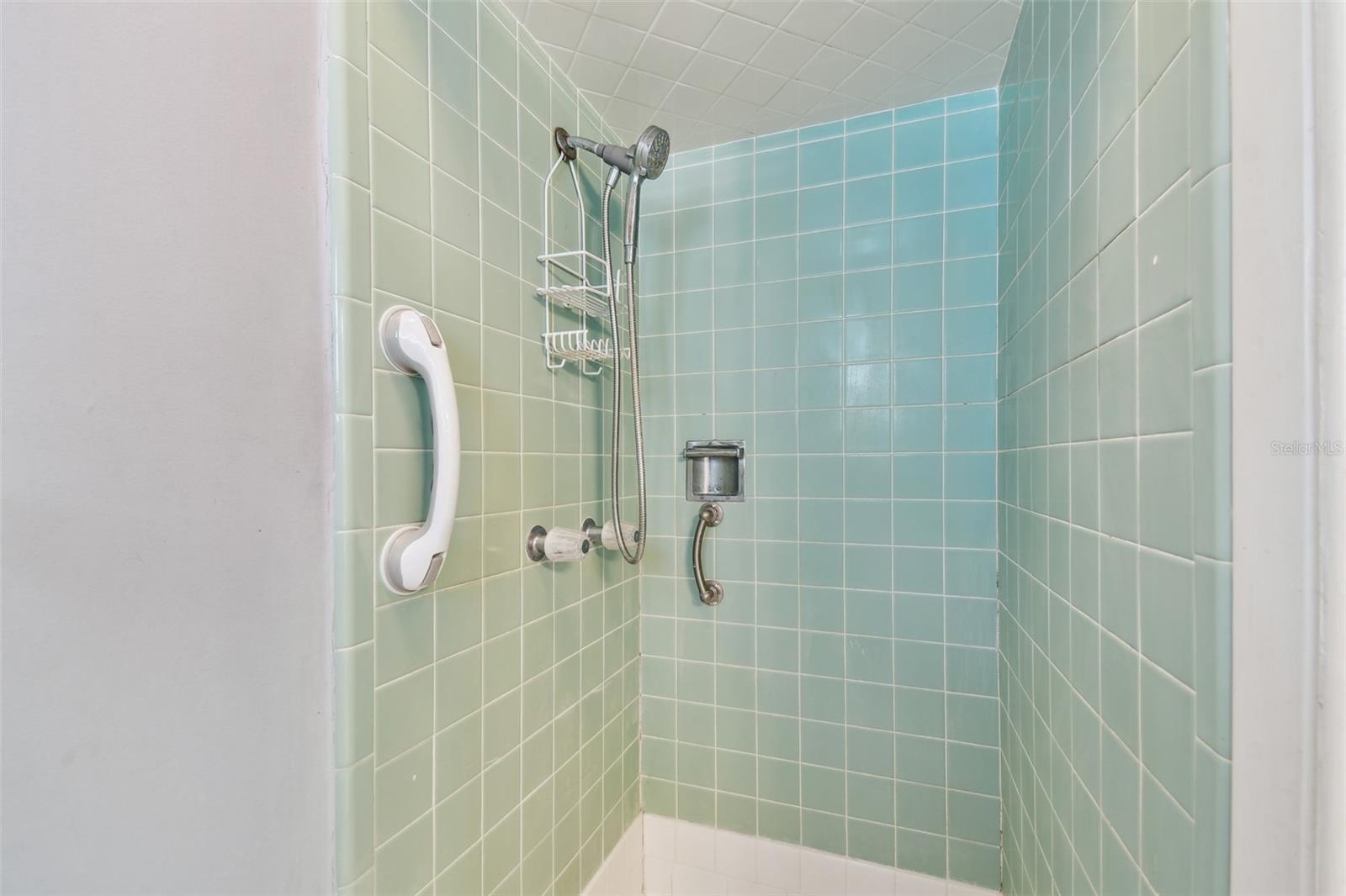 10314 LAKE CARROLL WAY, TAMPA, FL, 33618