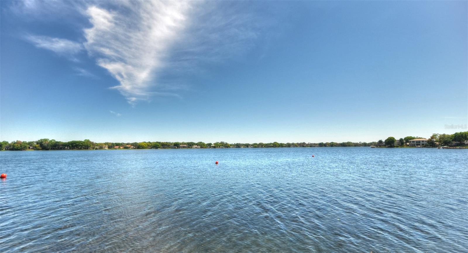 10314 LAKE CARROLL WAY, TAMPA, FL, 33618