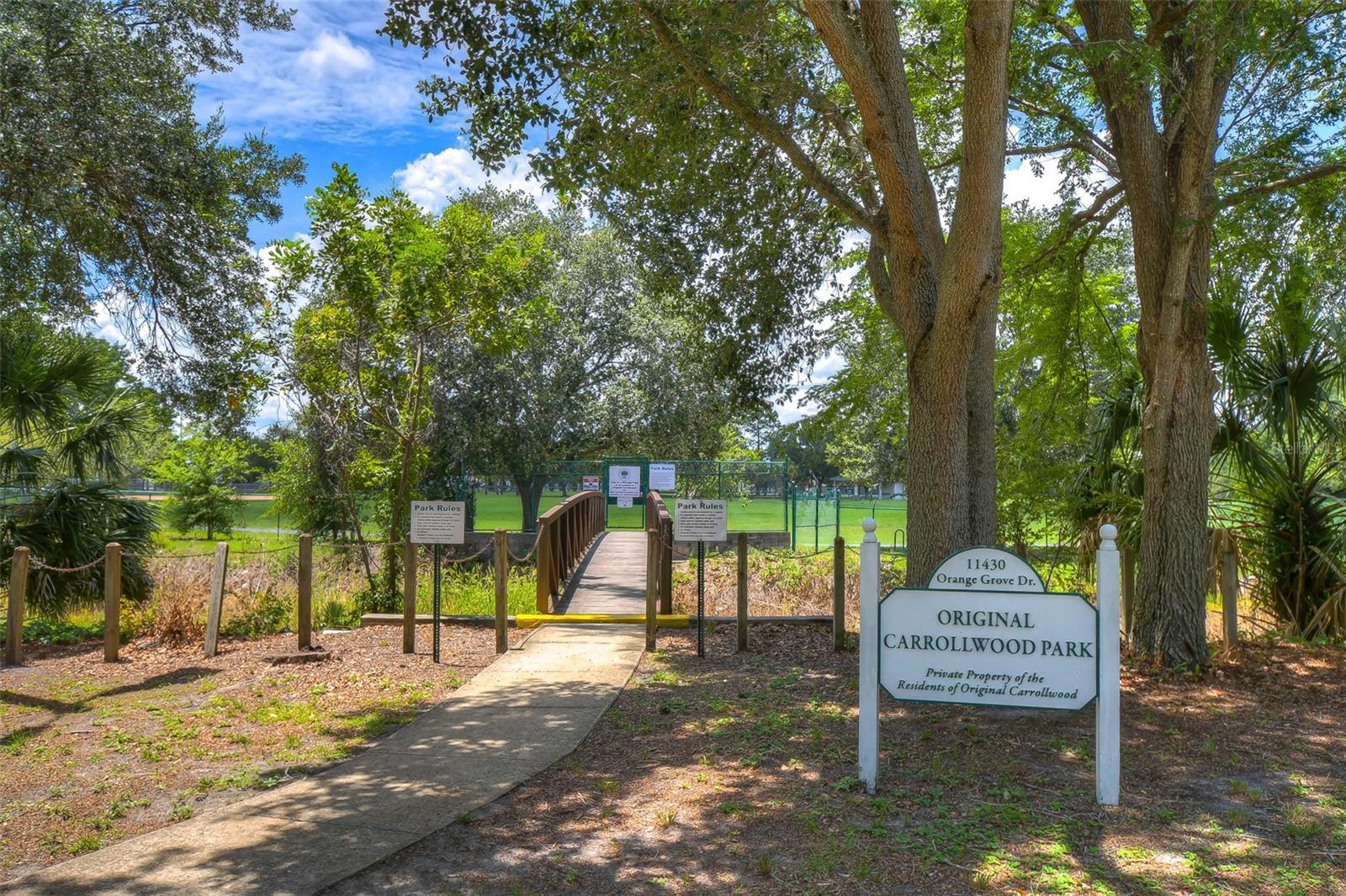 10314 LAKE CARROLL WAY, TAMPA, FL, 33618