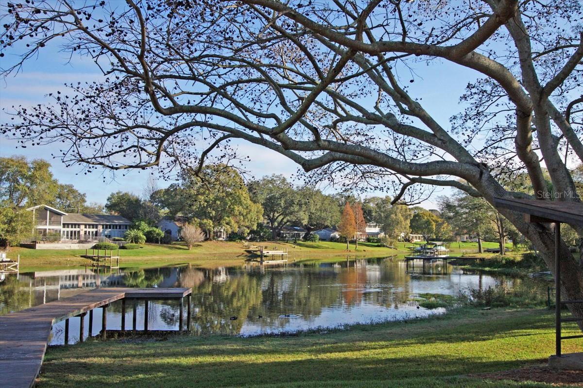 10314 LAKE CARROLL WAY, TAMPA, FL, 33618