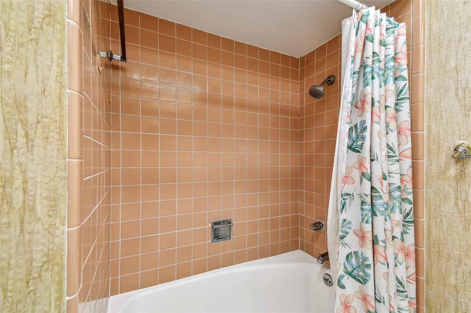 10314 LAKE CARROLL WAY, TAMPA, FL, 33618