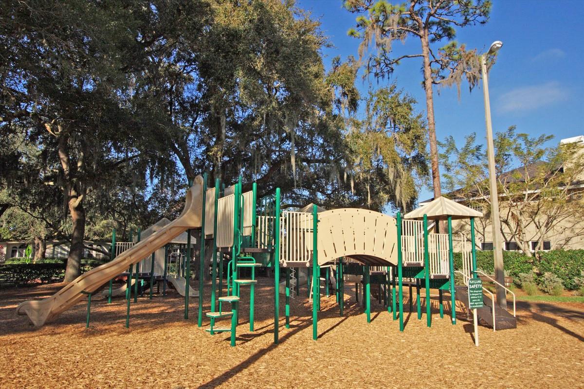 10314 LAKE CARROLL WAY, TAMPA, FL, 33618