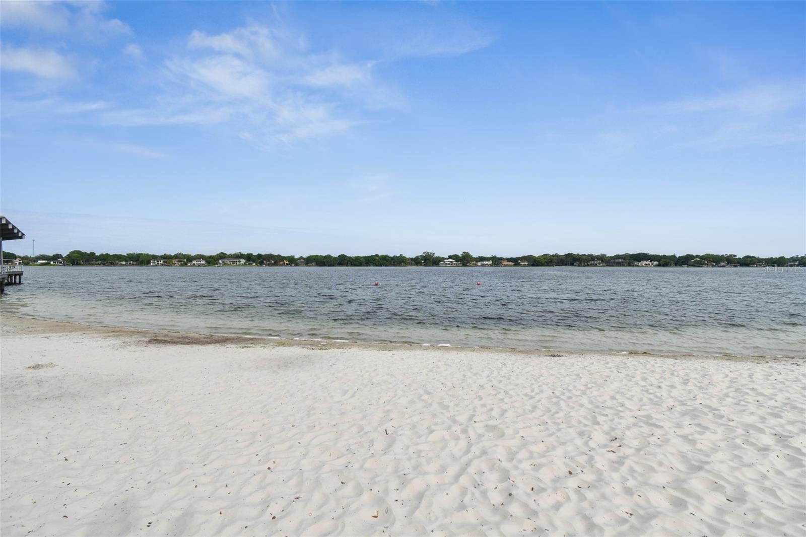 10314 LAKE CARROLL WAY, TAMPA, FL, 33618