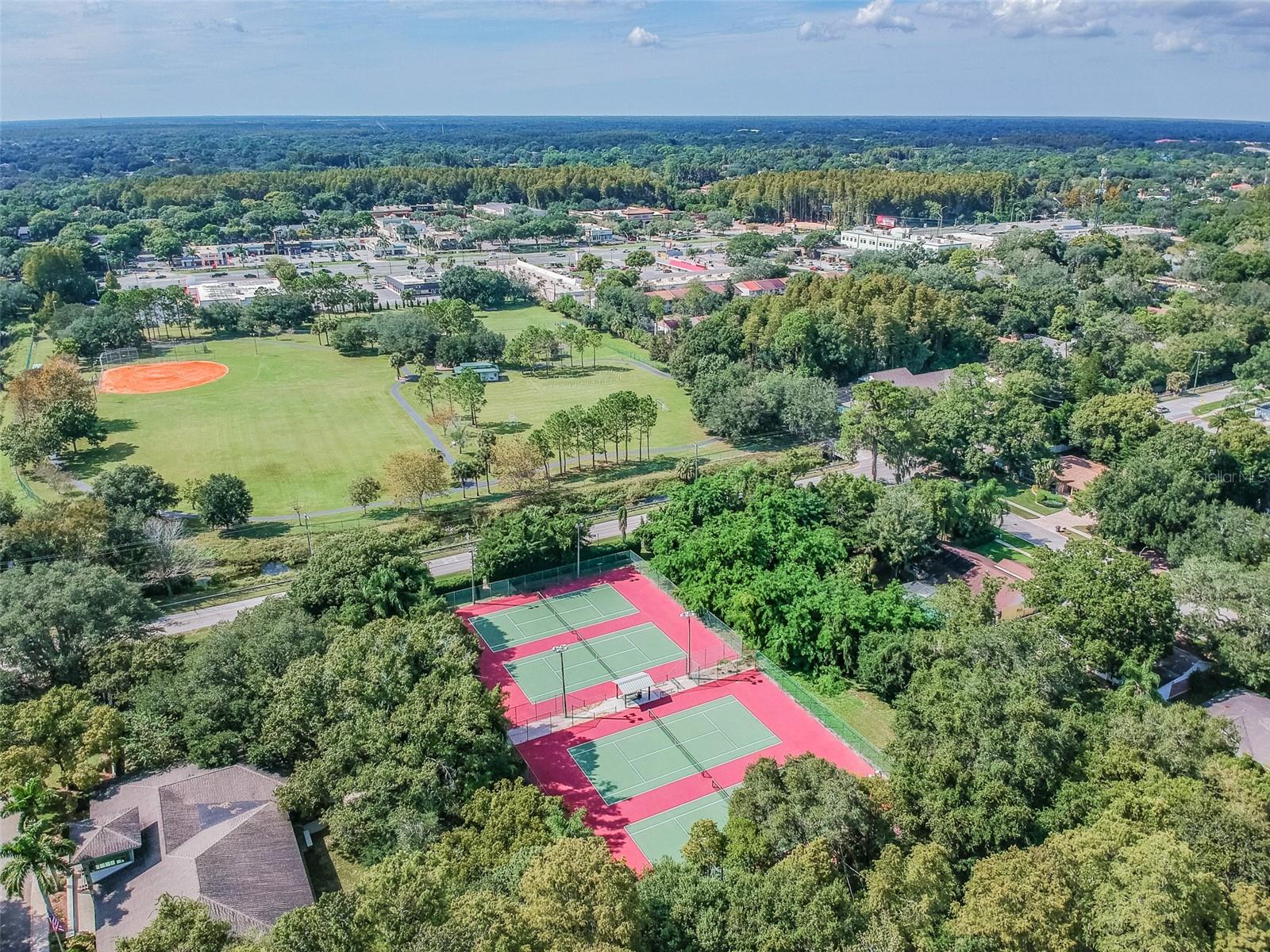 10314 LAKE CARROLL WAY, TAMPA, FL, 33618