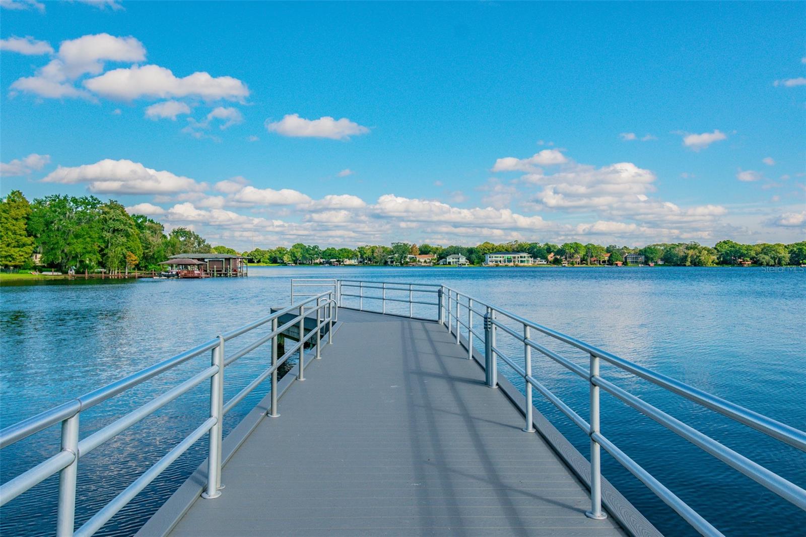 10314 LAKE CARROLL WAY, TAMPA, FL, 33618