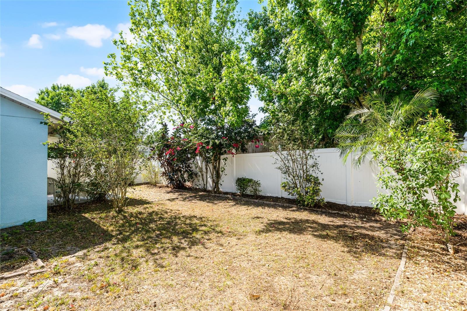 13234 MOONFLOWER CT, CLERMONT, FL, 34711