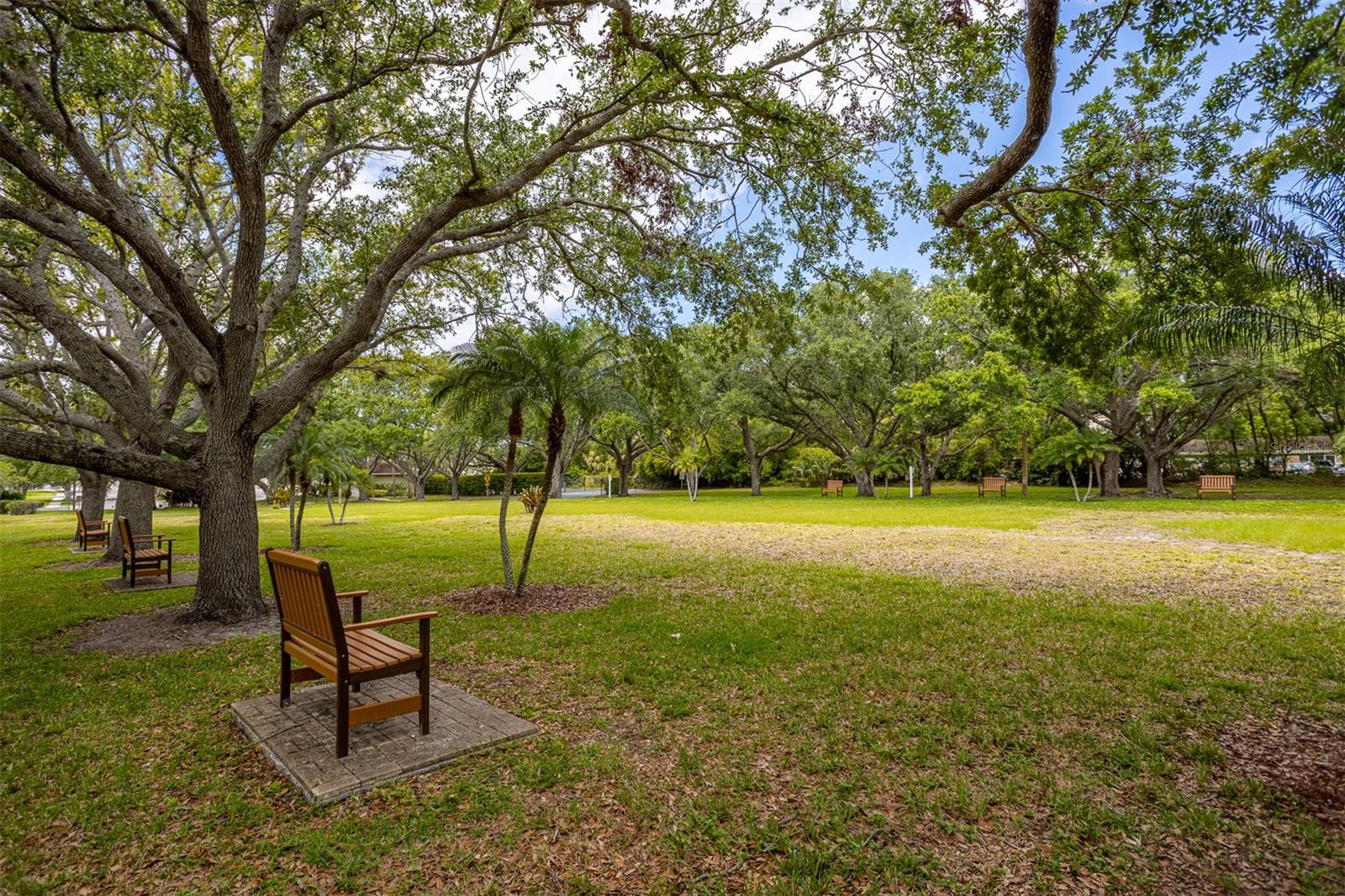 2690 CORAL LANDINGS BLVD #112, PALM HARBOR, FL, 34684