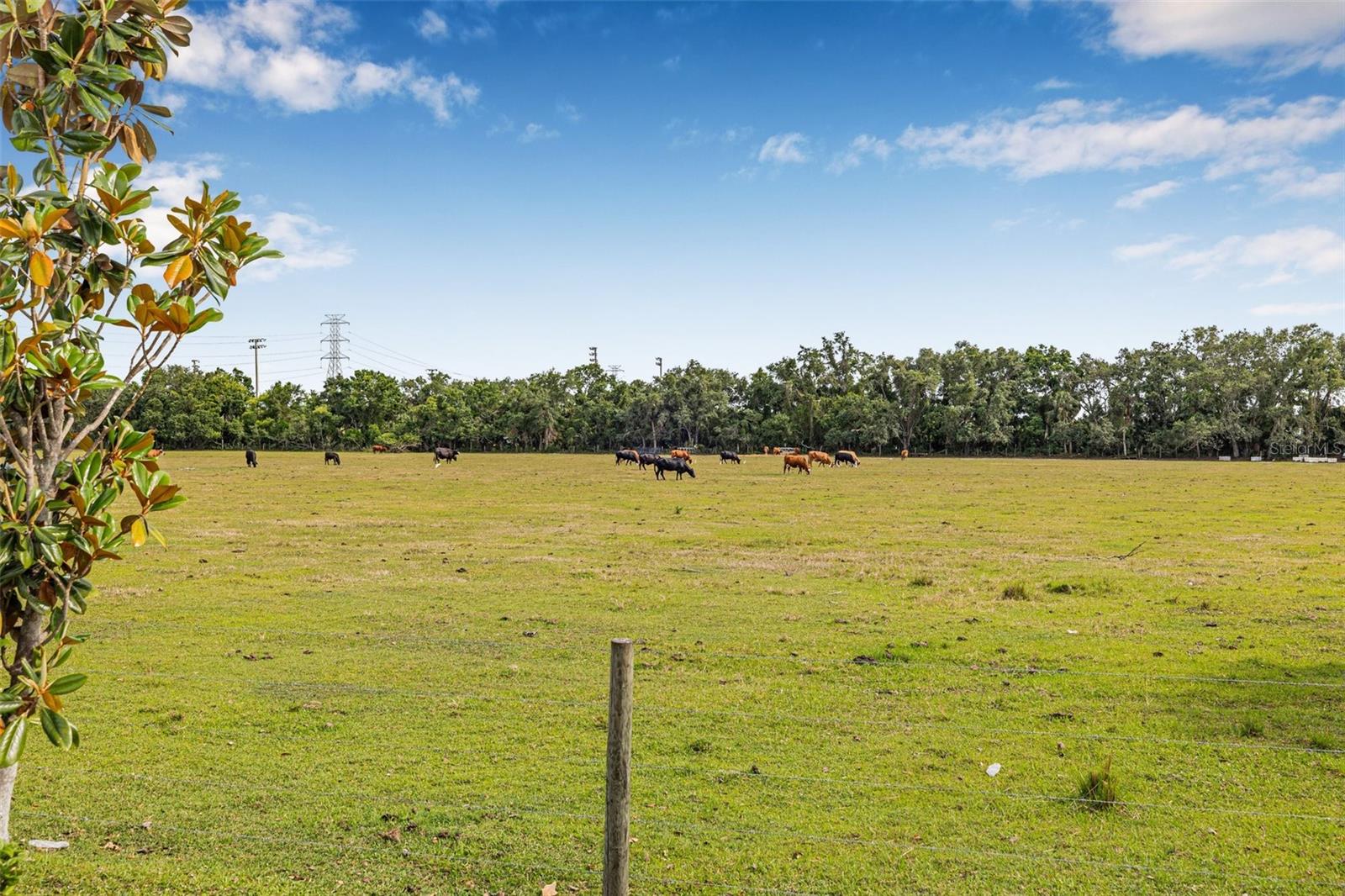 5429 COMPANION LN, TAMPA, FL, 33619