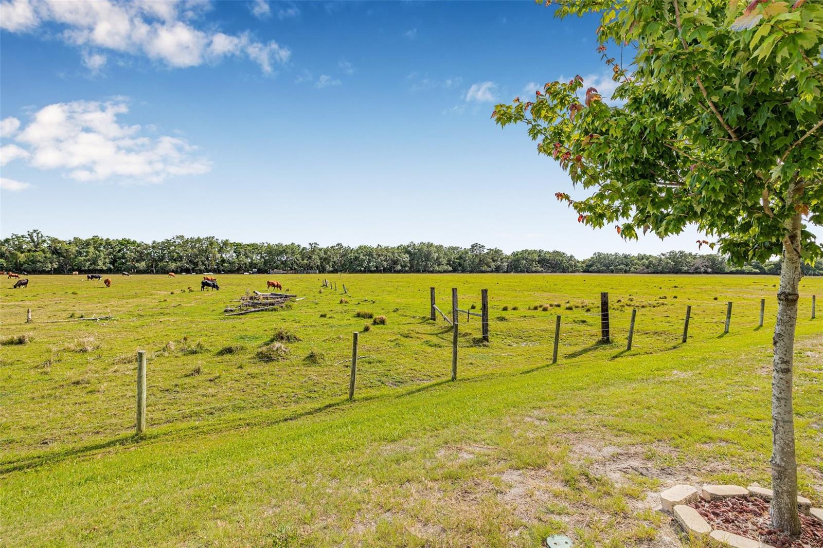 5429 COMPANION LN, TAMPA, FL, 33619