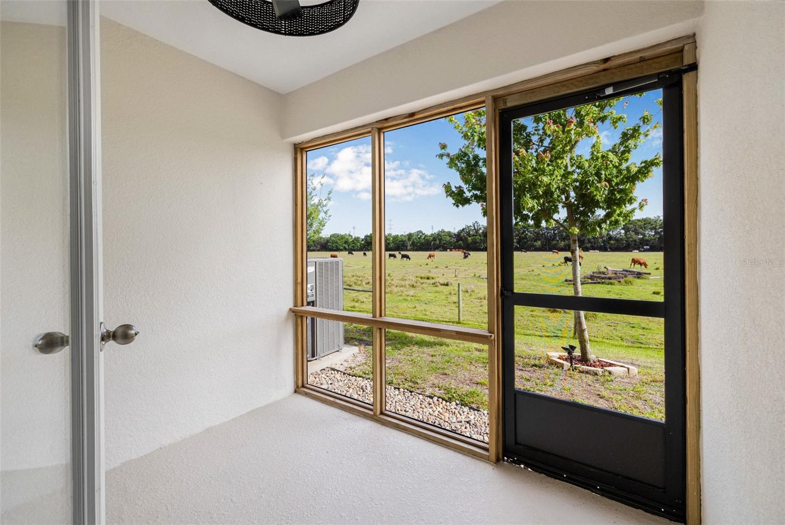 5429 COMPANION LN, TAMPA, FL, 33619