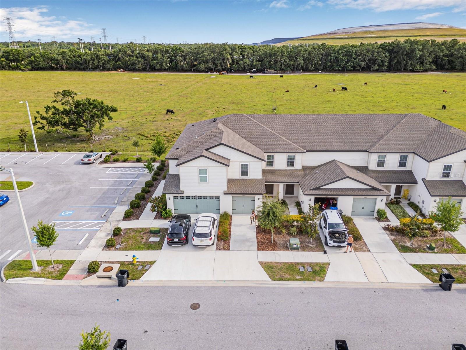 5429 COMPANION LN, TAMPA, FL, 33619