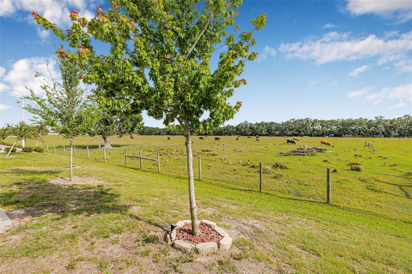 5429 COMPANION LN, TAMPA, FL, 33619