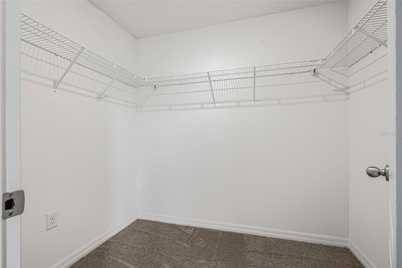 5429 COMPANION LN, TAMPA, FL, 33619