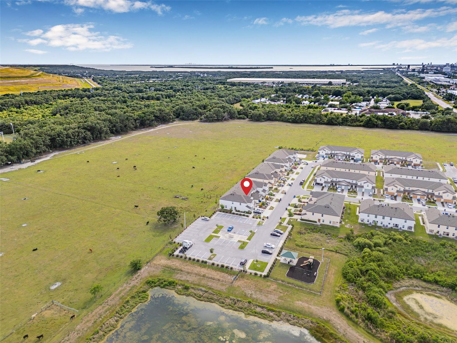 5429 COMPANION LN, TAMPA, FL, 33619