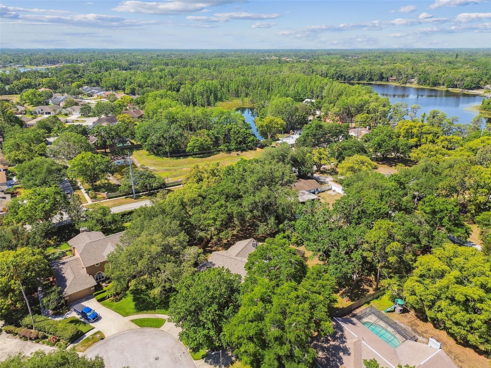 17904 SINGING WOOD PL, LUTZ, FL, 33548