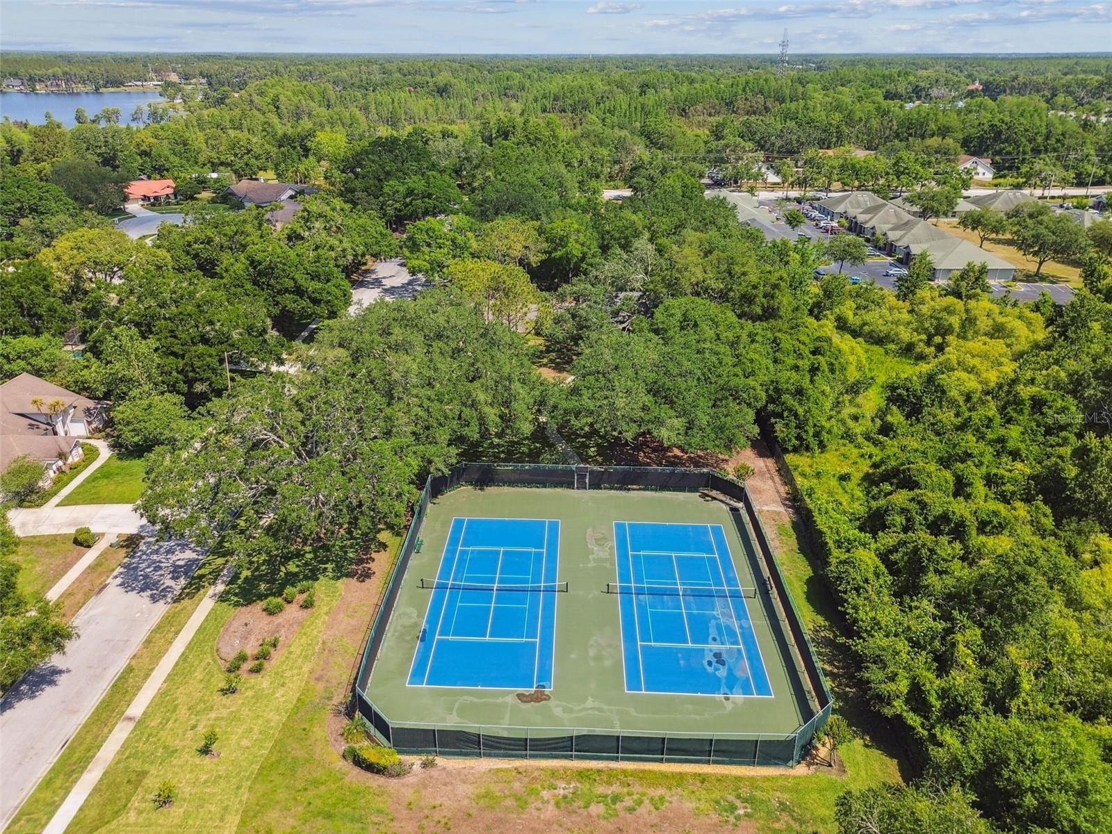 17904 SINGING WOOD PL, LUTZ, FL, 33548
