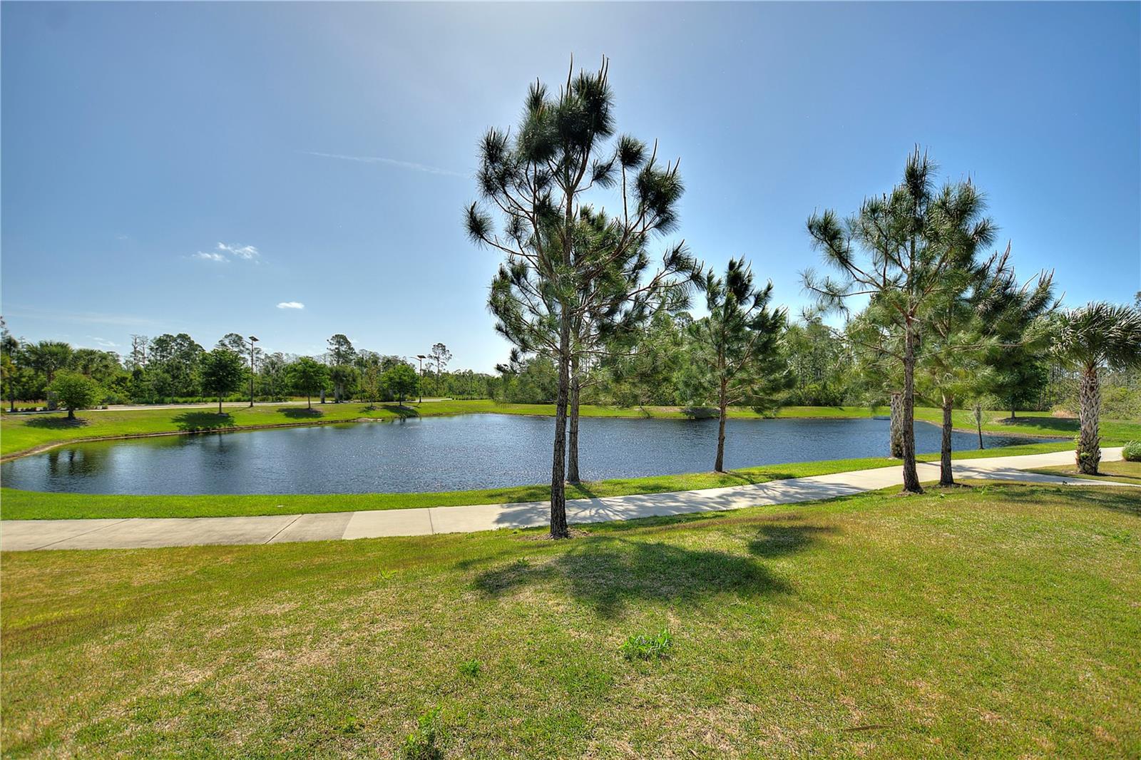 17988 PASSIONFLOWER CIR, CLERMONT, FL, 34714