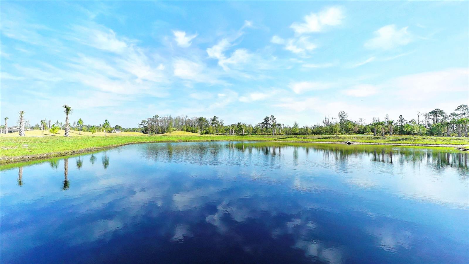 17988 PASSIONFLOWER CIR, CLERMONT, FL, 34714