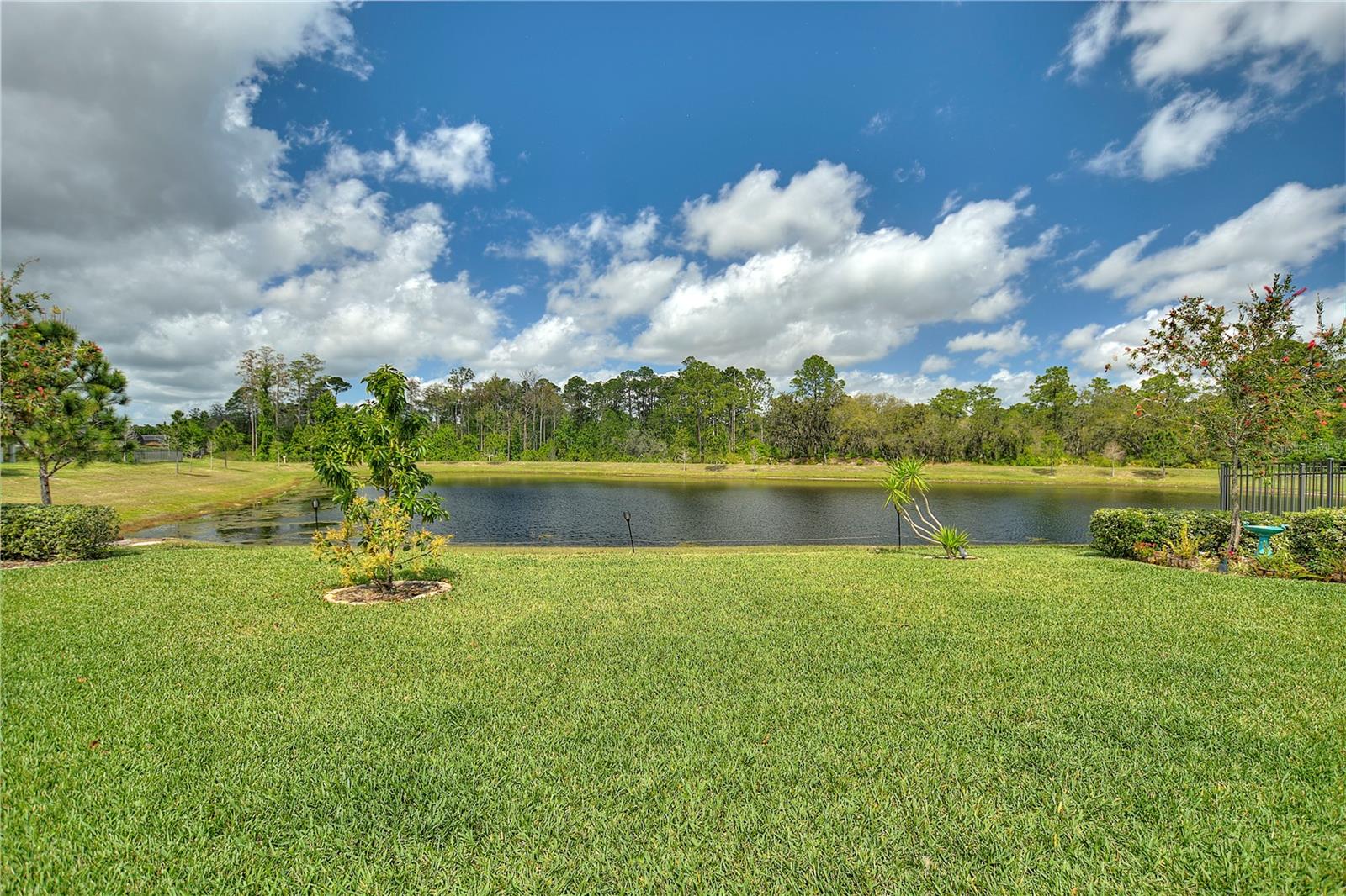 17988 PASSIONFLOWER CIR, CLERMONT, FL, 34714