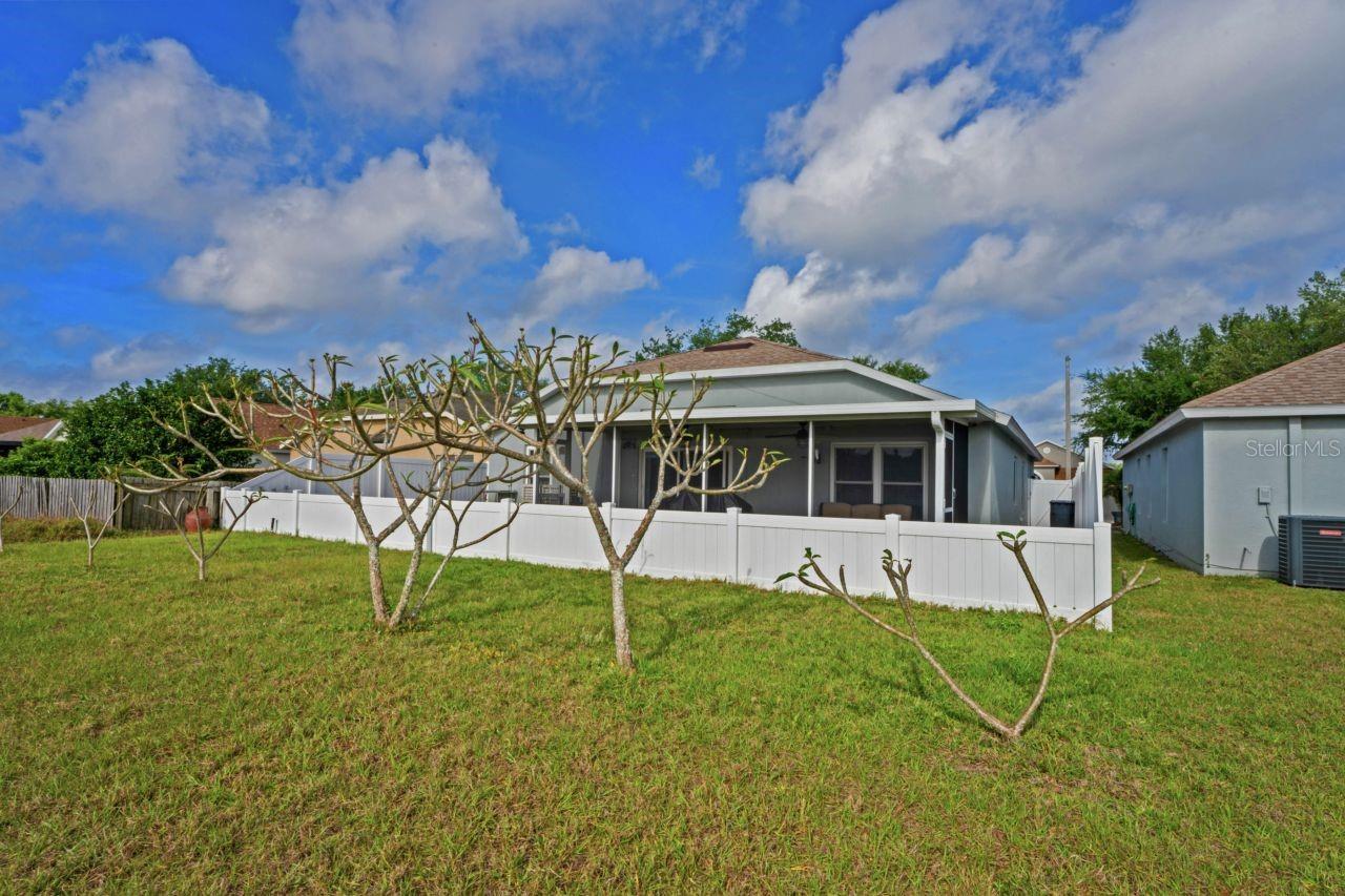 13131 EARLY RUN LN, RIVERVIEW, FL, 33578