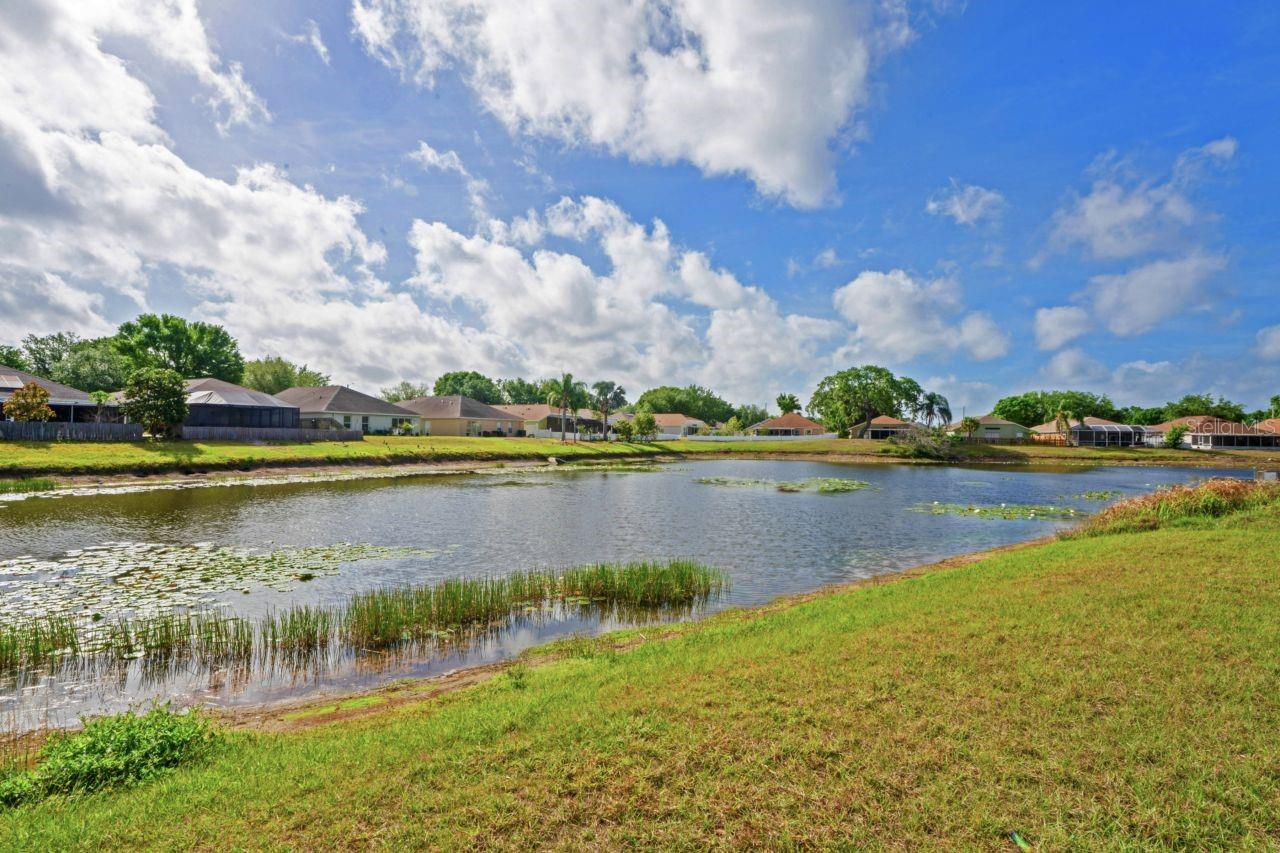 13131 EARLY RUN LN, RIVERVIEW, FL, 33578