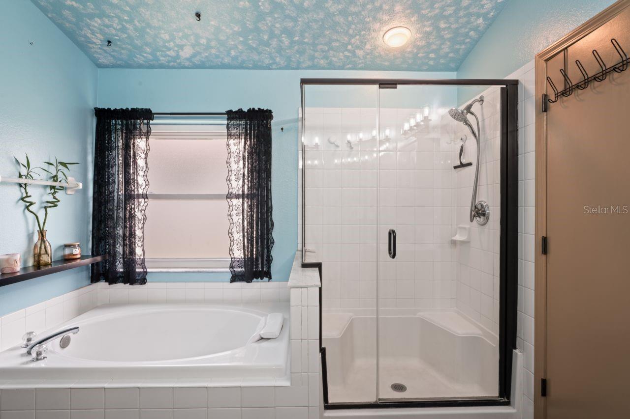 13131 EARLY RUN LN, RIVERVIEW, FL, 33578