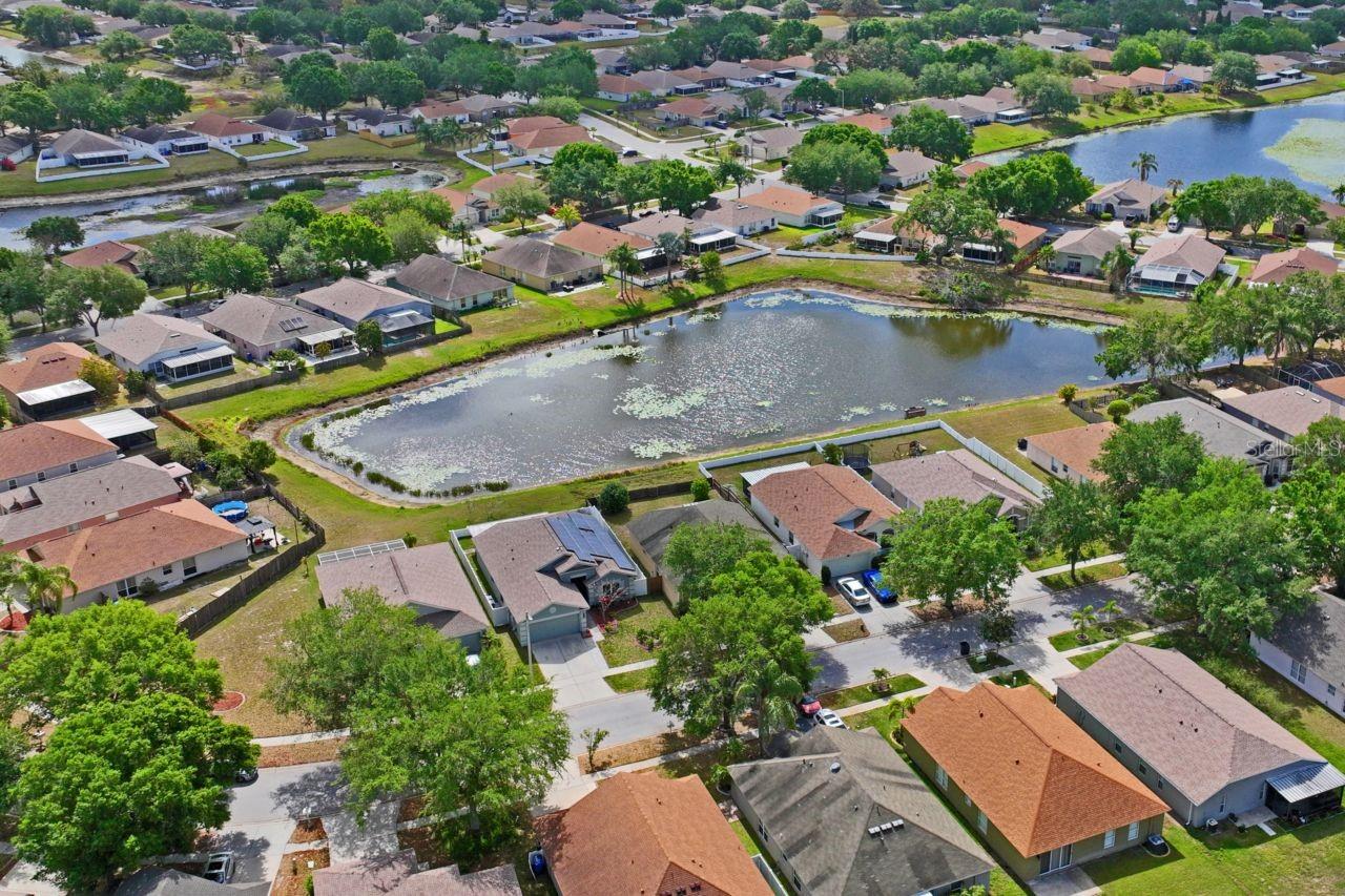 13131 EARLY RUN LN, RIVERVIEW, FL, 33578