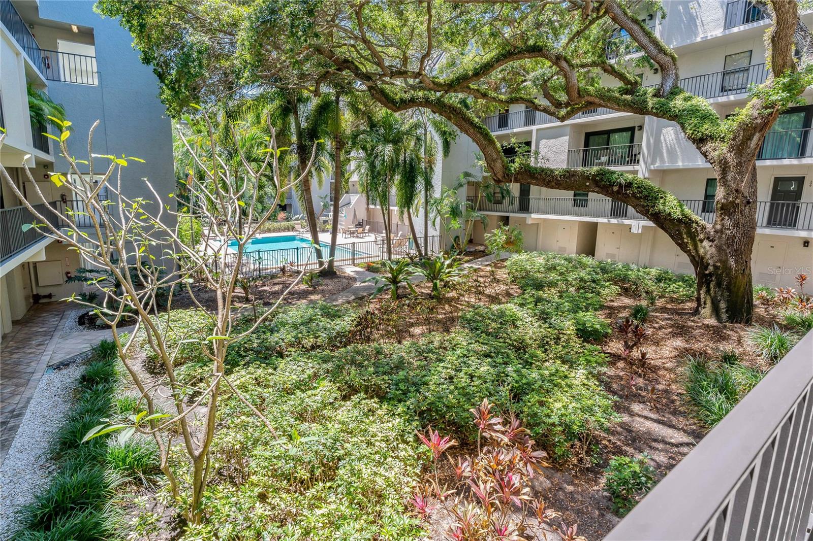 105 4TH AVE NE #220, ST PETERSBURG, FL, 33701