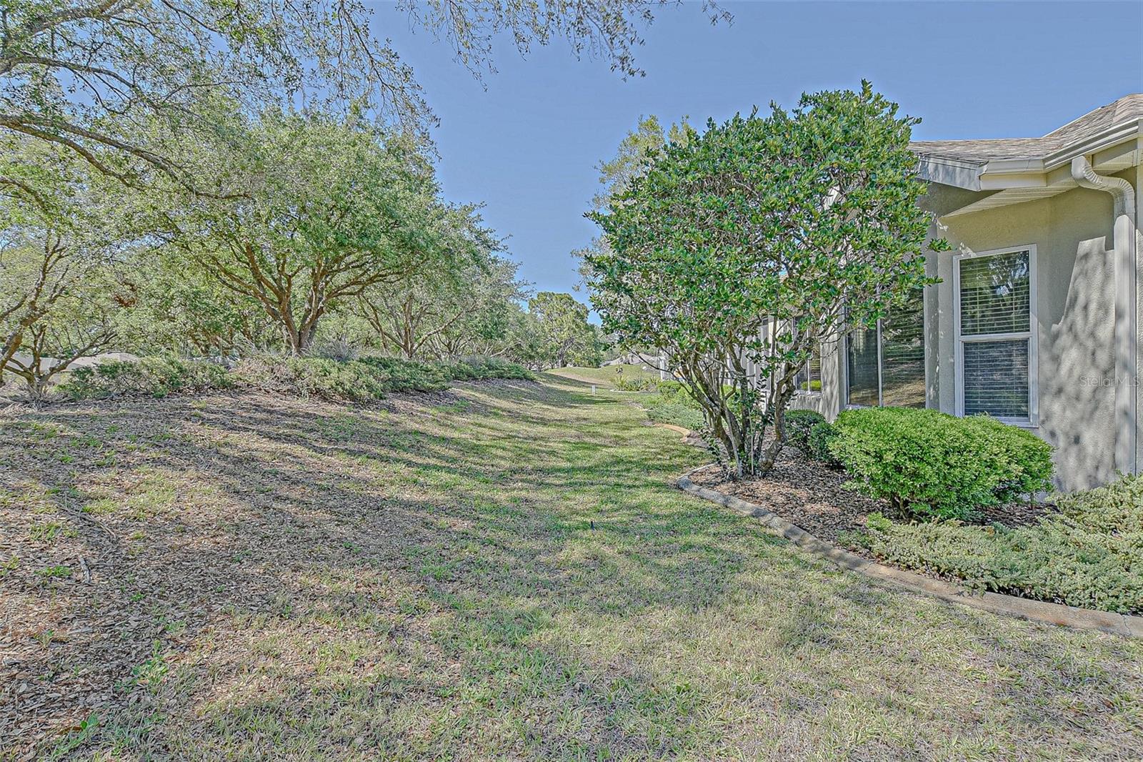 9325 SE 132ND PL, SUMMERFIELD, FL, 34491