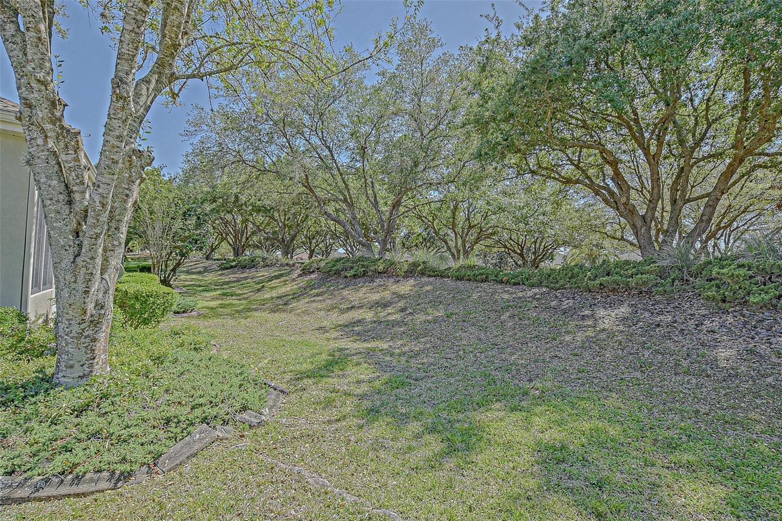 9325 SE 132ND PL, SUMMERFIELD, FL, 34491