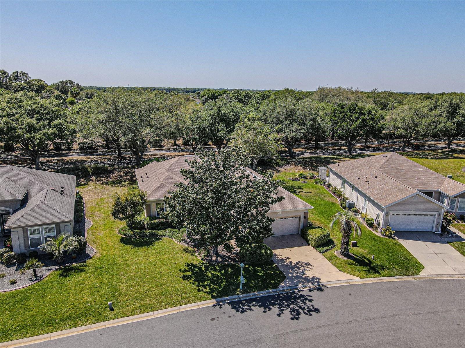 9325 SE 132ND PL, SUMMERFIELD, FL, 34491