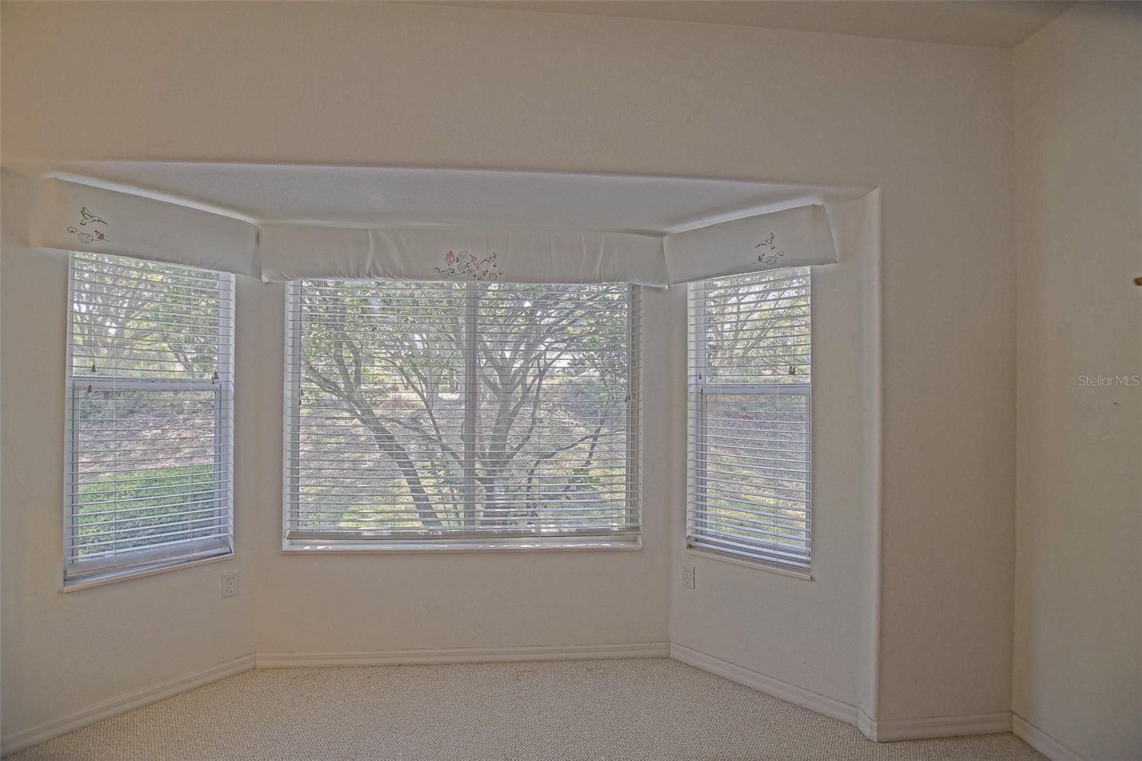 9325 SE 132ND PL, SUMMERFIELD, FL, 34491